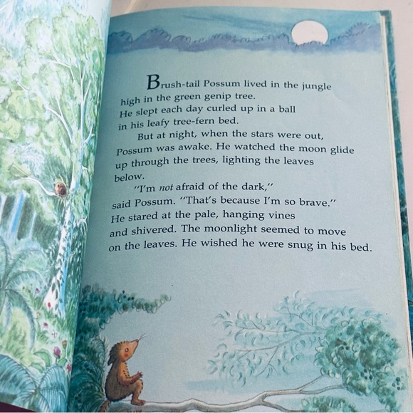 Brave Brush-Tail Possum Hardcover Picture Book - Picture 4 of 7